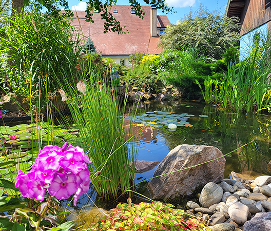 amenagement bassin.webp