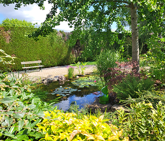 bassin sur mesure dole.webp