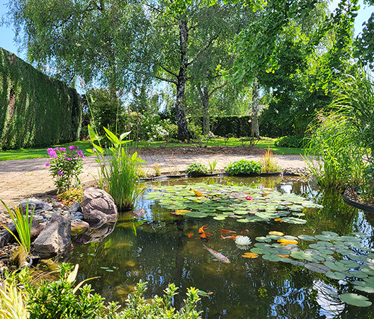 jardin aquatique dole.webp