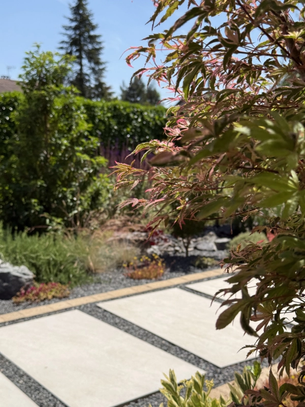 érable