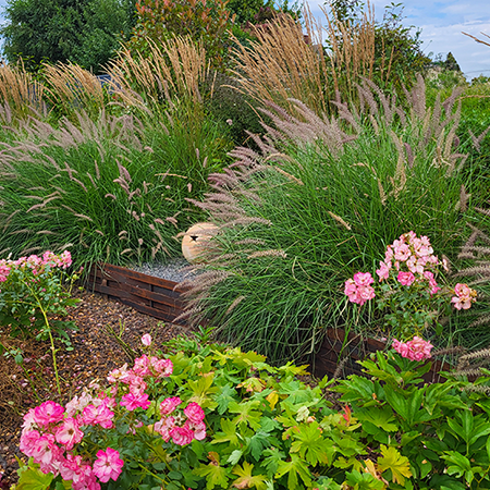 Végétalisation de Jardins