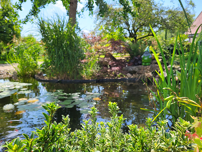 Espace detente jardin aquatique