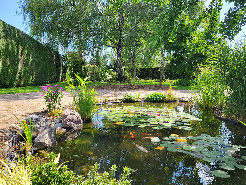 Jardin aquatique à Dole